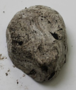 Seed bomb made of clay, dirt, and seeds/