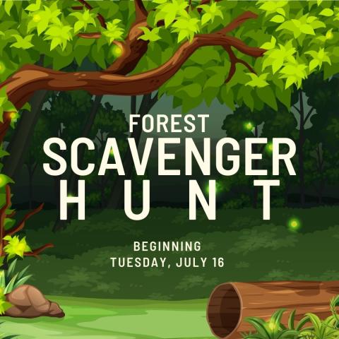 Forest Scavenger Hunt