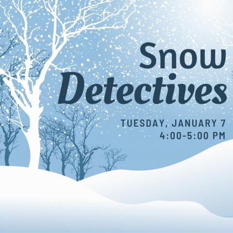 snow detectives